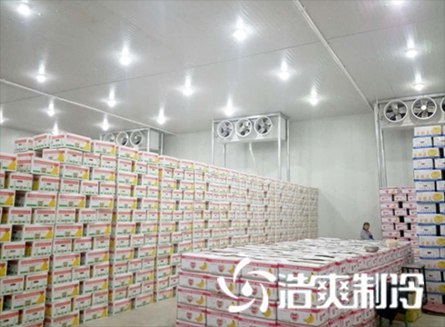 食品深夜免费网站建造价格