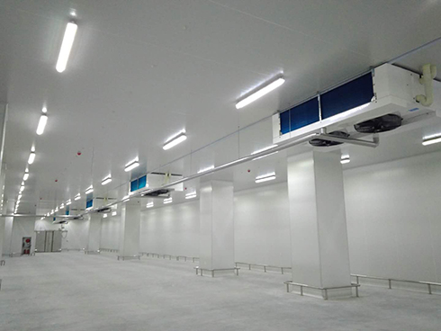 河北周黑鸭新工厂项目1#车间深夜免费网站建造工程案例