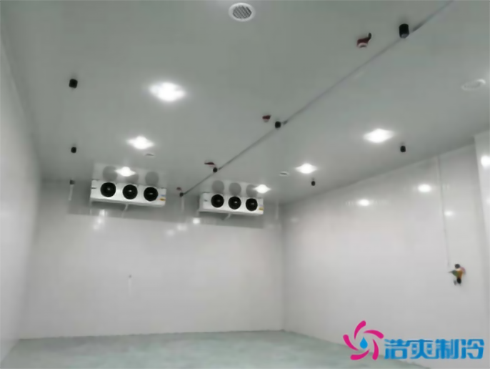 上海巴洛美巧克力食品深夜免费网站建造设计
